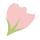咲き始め