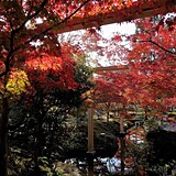 京都府立関西文化学術研究都市記念公園(けいはんな記念公園)