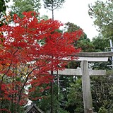 石清水八幡宮