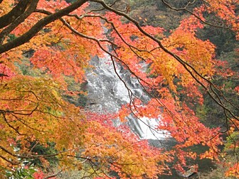 養老渓谷