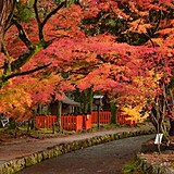 賀茂別雷神社(上賀茂神社)