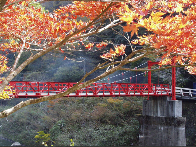 武田尾温泉の写真