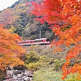貴船周辺