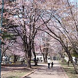 帯広市緑ケ丘公園