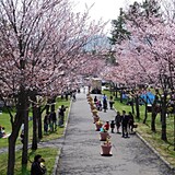 栗山公園