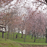 芦別市旭ケ丘公園