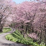 奈井江町にわ山森林自然公園