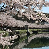 庄原上野公園